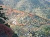 金山陵园